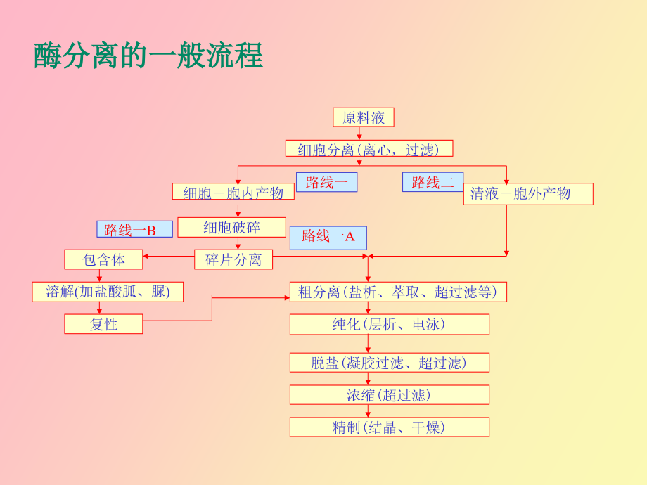 酶的分离纯化与制剂_第4页