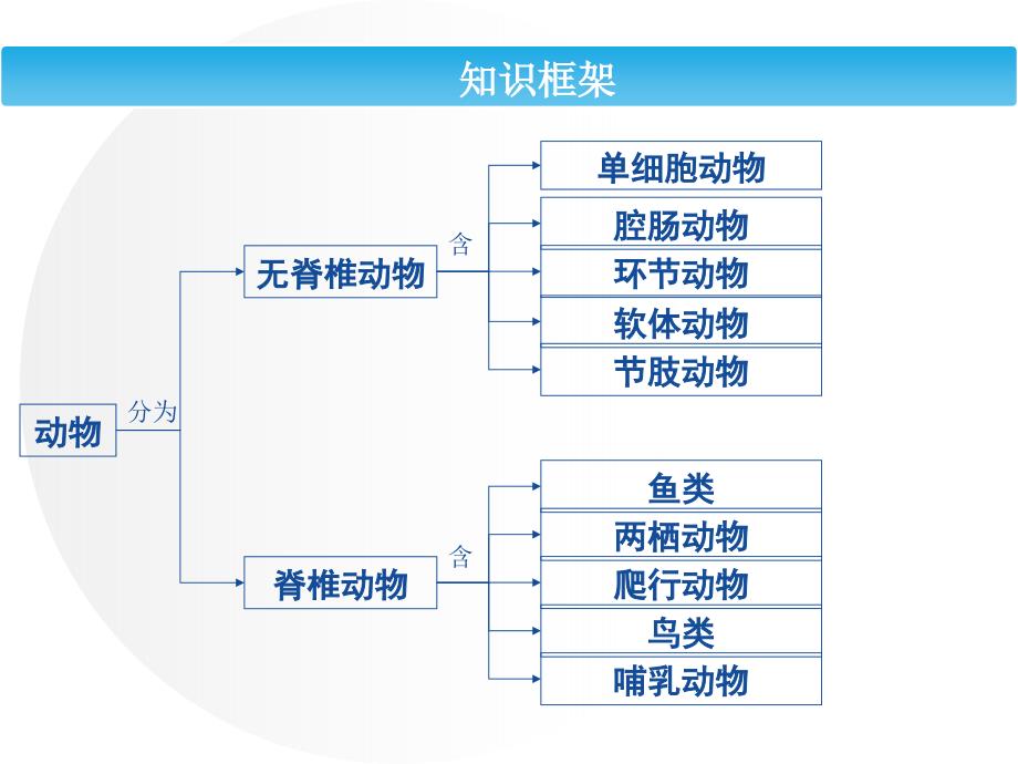 11.动物的多样性汇总_第2页