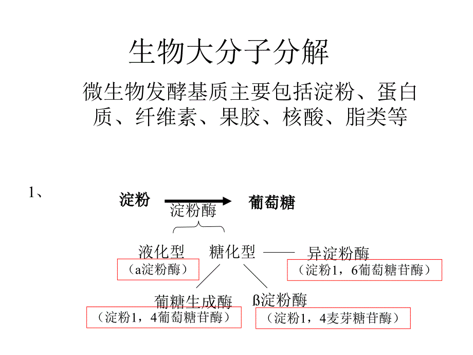 发酵生理第二部分微生物的代谢_第2页