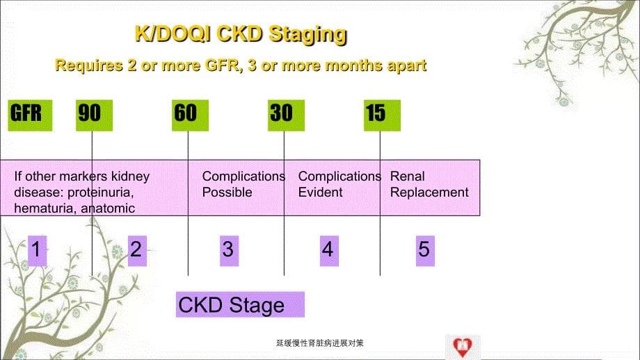延缓慢性肾脏病进展对策_第5页