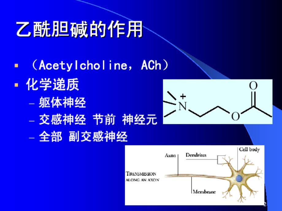 拟胆药和抗胆碱药_第2页