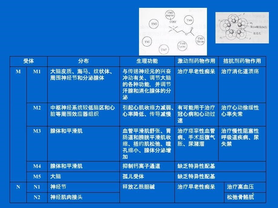 拟胆药和抗胆碱药_第5页