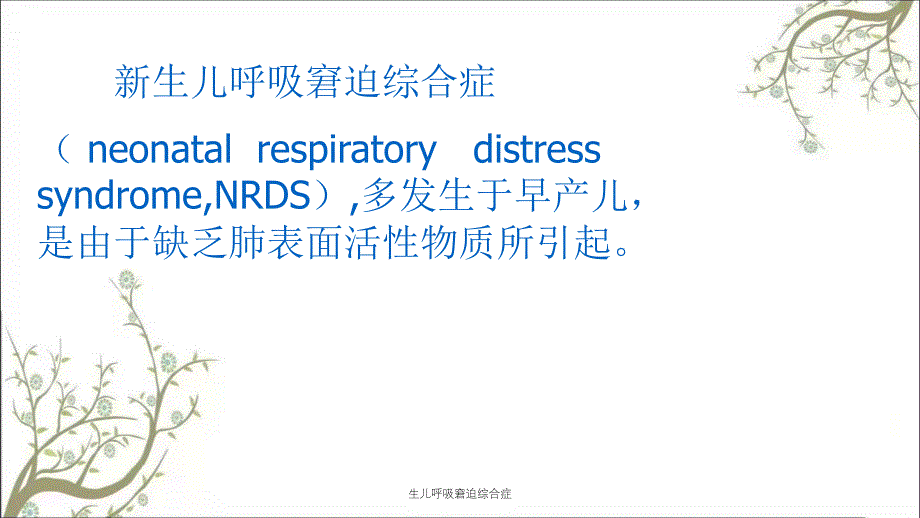 生儿呼吸窘迫综合症_第2页