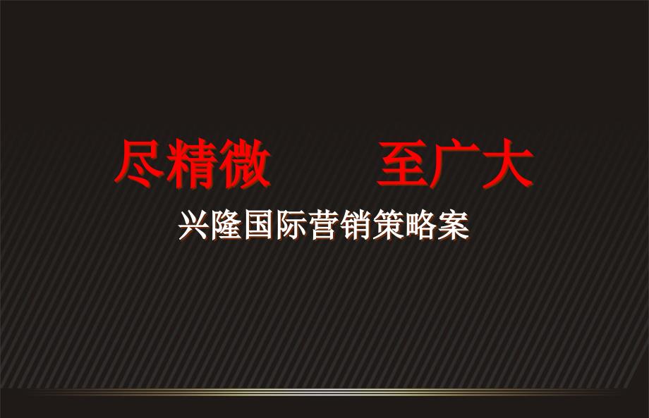 兴隆国际营销策略案162P_第1页