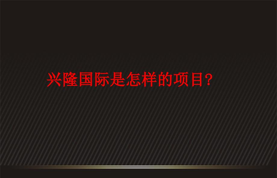 兴隆国际营销策略案162P_第4页