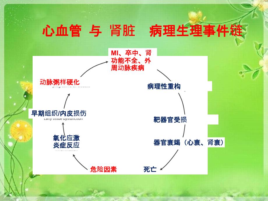 冠心病介入治疗相关的对比剂肾损伤危险因素及危险评分系统_第3页