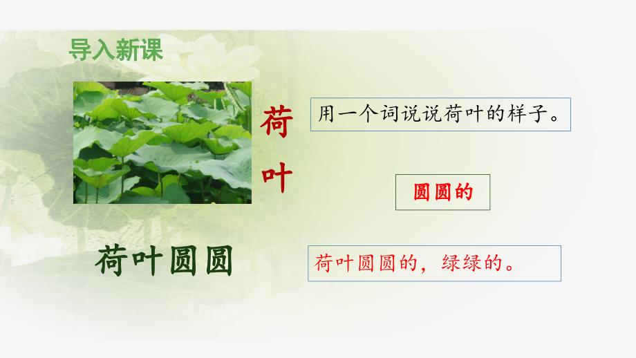 荷叶圆圆（一年级下学期语文）_第4页