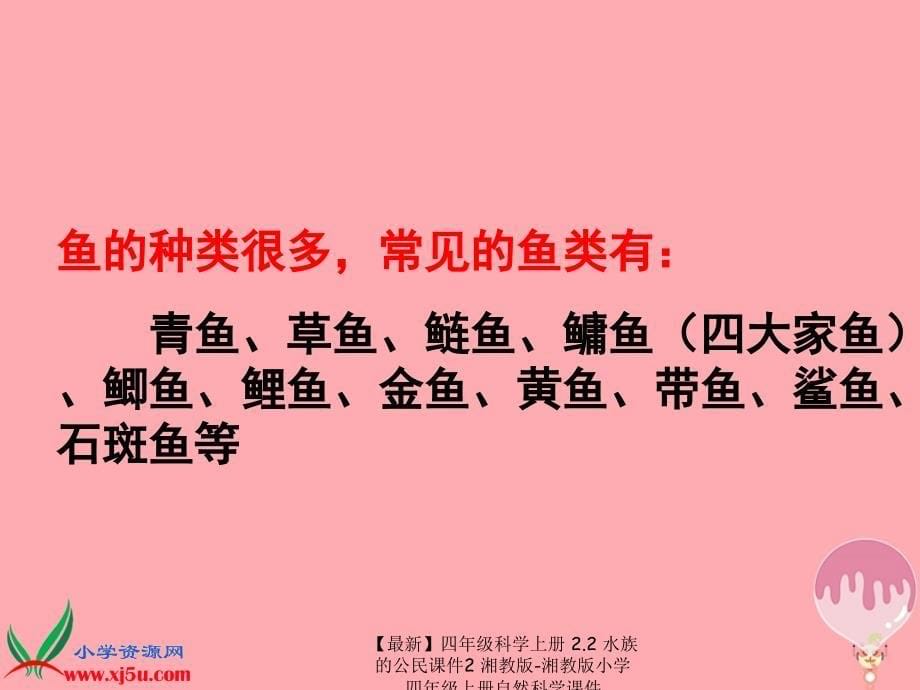 最新四年级科学上册2.2水族的公民课件2湘教版湘教版小学四年级上册自然科学课件_第5页