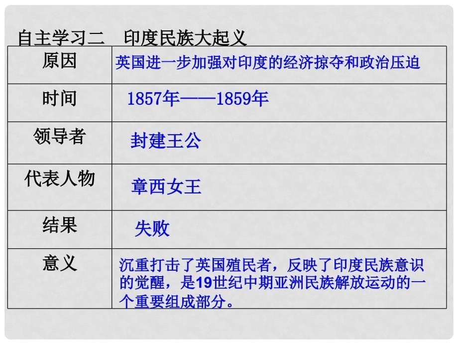 九年级历史下册 第1单元 殖民地人民的反抗与资本主义制度的扩展 第1课 殖民地人民的反抗斗争课件4 新人教版_第5页