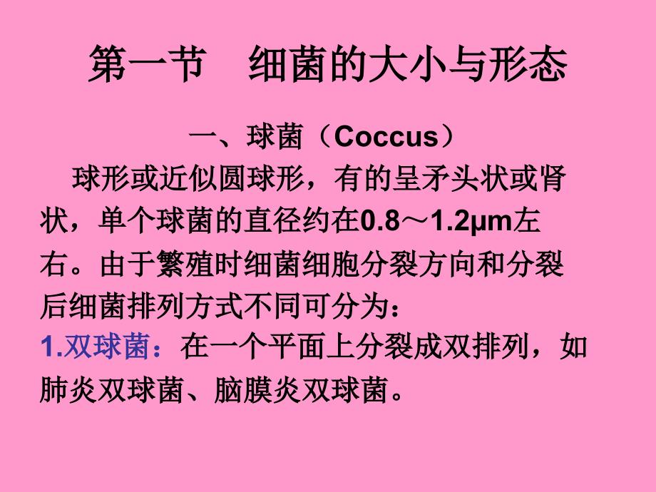 动物微生物学及免疫学课件细菌的形态与结构_第2页