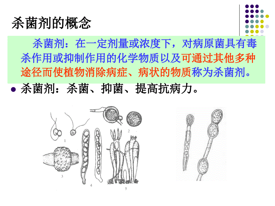 杀菌剂 7 章.ppt_第2页