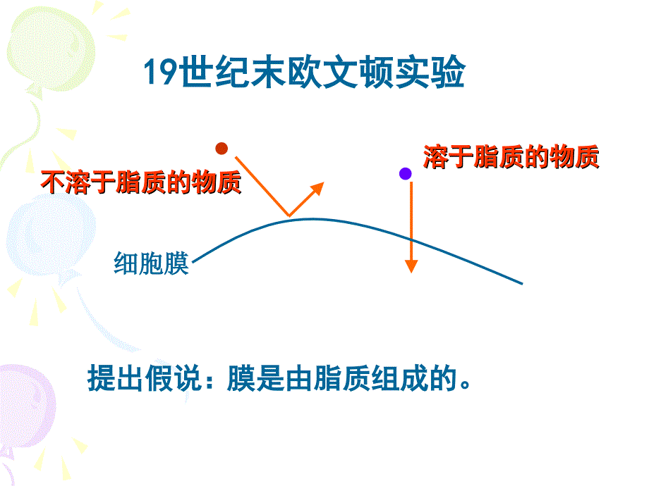 生物必修1第四章第2节生物膜的流动镶嵌模型课件_第3页