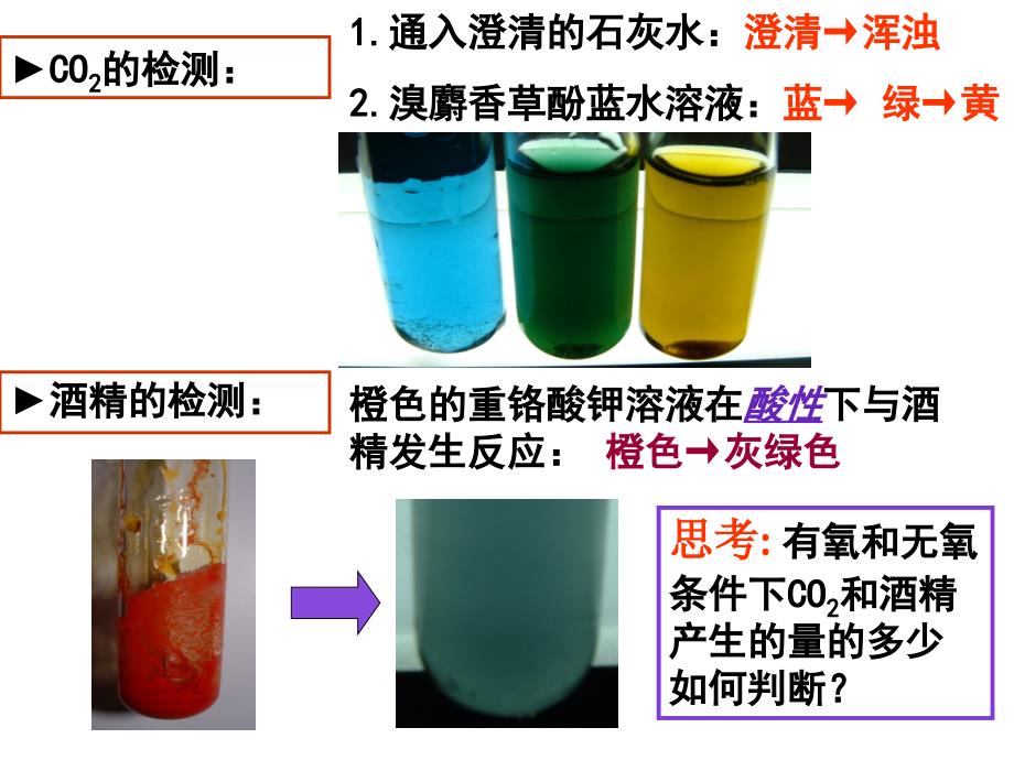 呼吸作用习题课_第1页