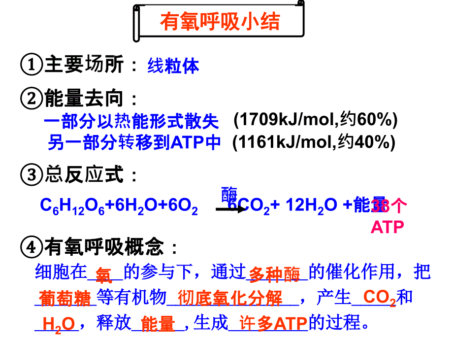 呼吸作用习题课_第3页