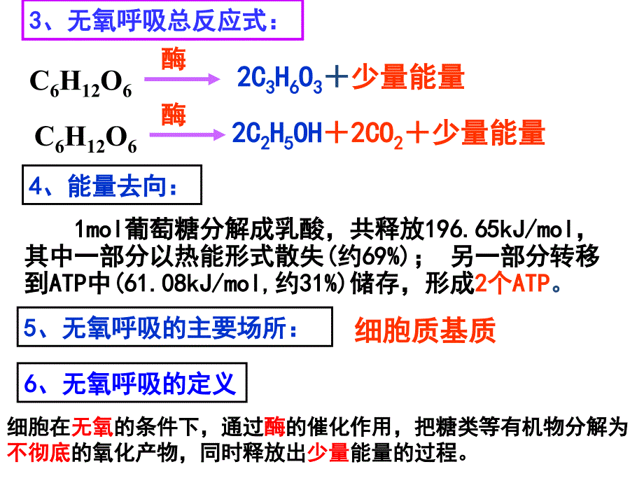 呼吸作用习题课_第4页