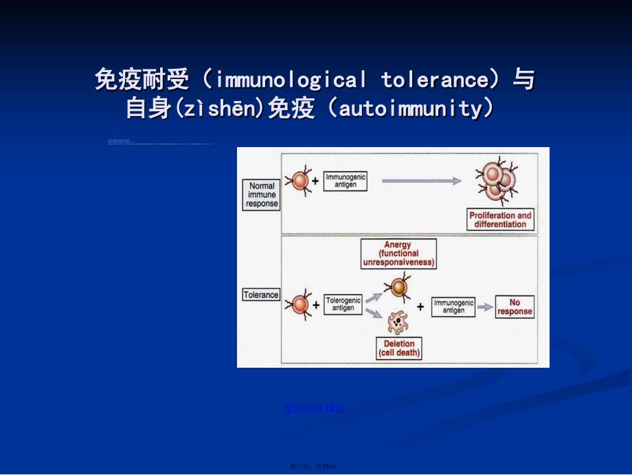 免疫学移植免疫自身免疫和肿瘤免疫学习教案_第3页