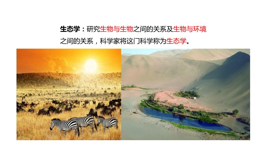 【教学课件】《生物的生存依赖一定的环境》（北师大）_第3页