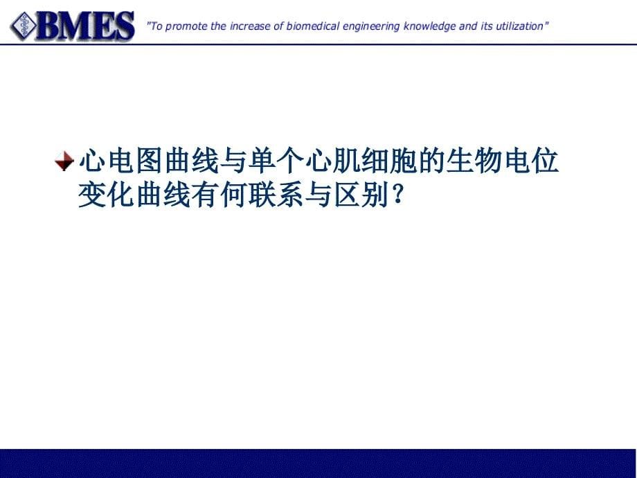 《生物电测量及仪器》PPT课件.ppt_第5页