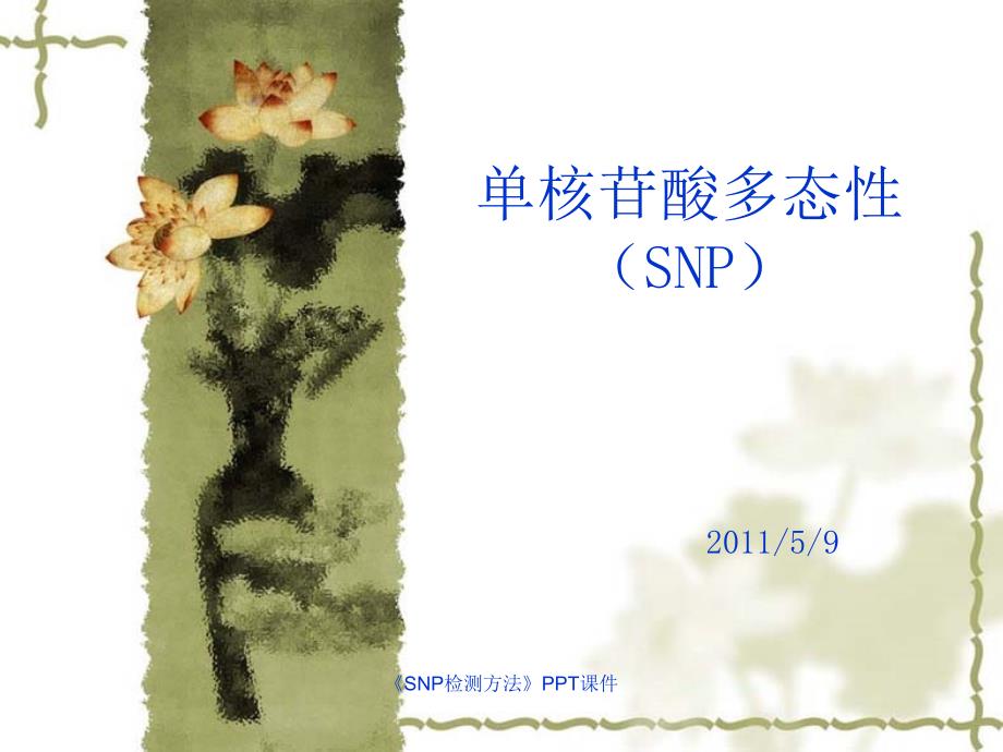 SNP检测方法课件_第1页