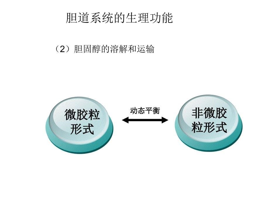 胆总管结石的微创处理PPT课件.ppt_第5页