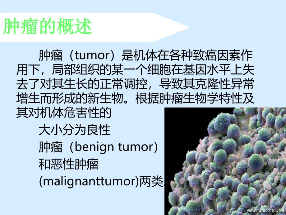 心理学肿瘤病人的心理特点与心理护理ppt课件_第3页