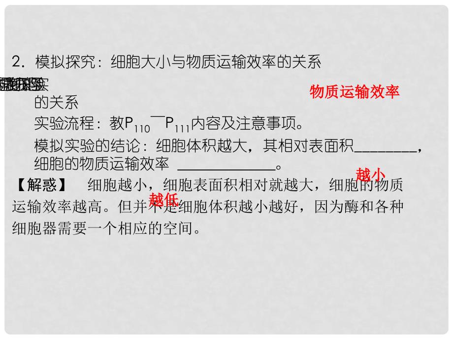 高考生物大一轮总复习 4.10 细胞的增值课件 新人教版必修1_第4页