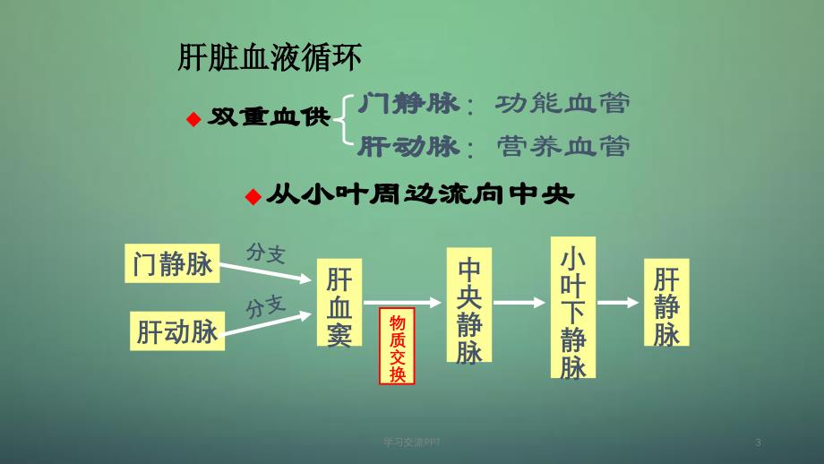 肝不全功能ppt课件_第3页