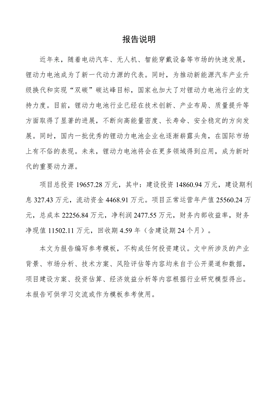 锂动力电池研发生产项目投资计划书_第2页