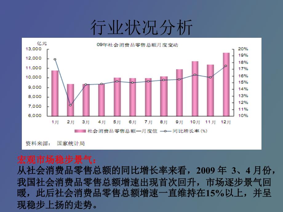 苏宁财务分析_第3页