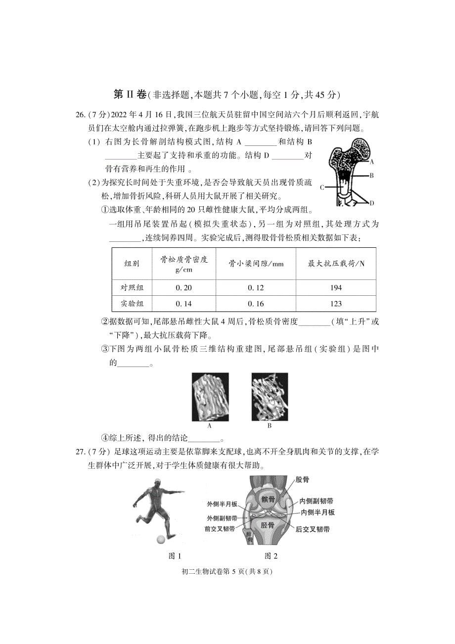 2023北京大兴区初二上期末考生物试卷及答案_第5页