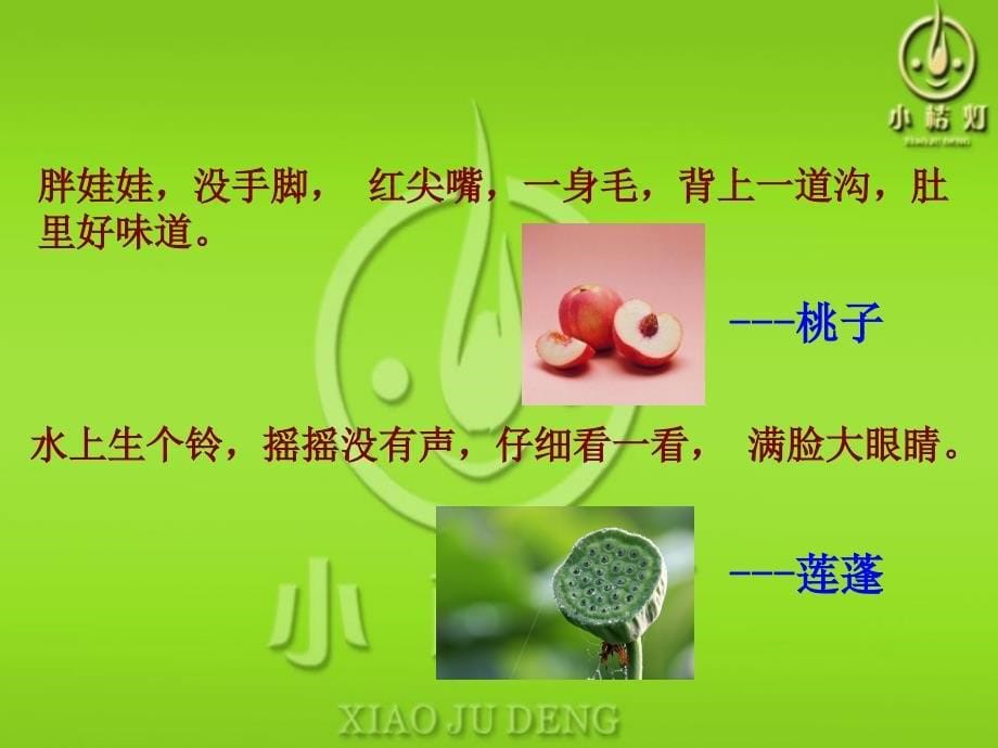 世间万物之植物乐园萌芽篇_第5页