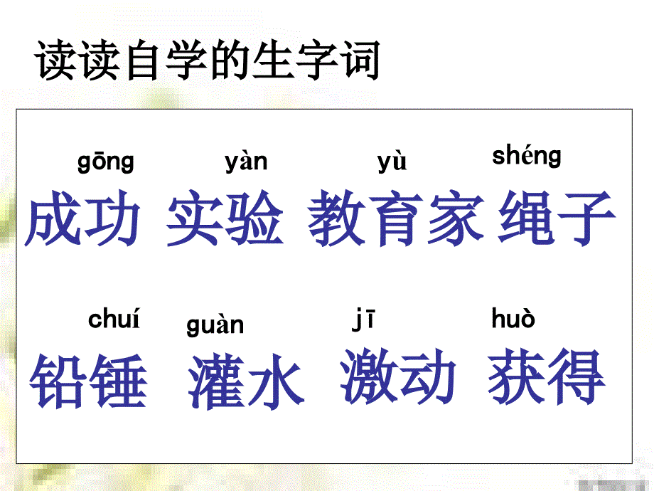 《一次成功的实验》课件4_第2页