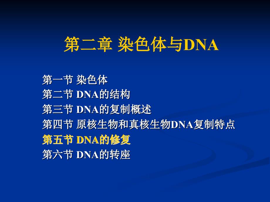 第二章3染色体与DNA1_第1页