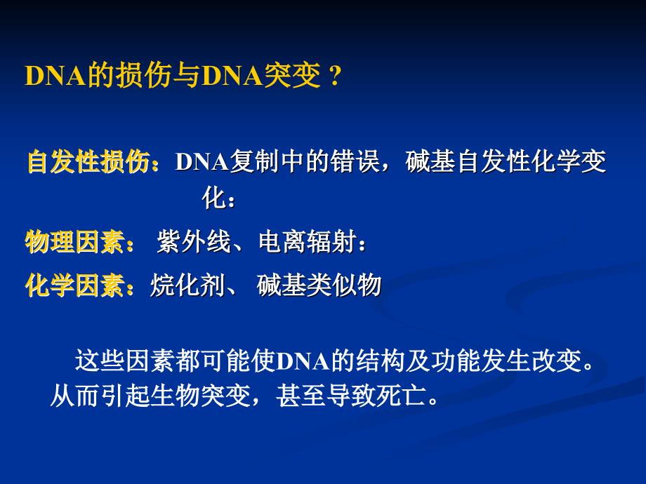 第二章3染色体与DNA1_第3页