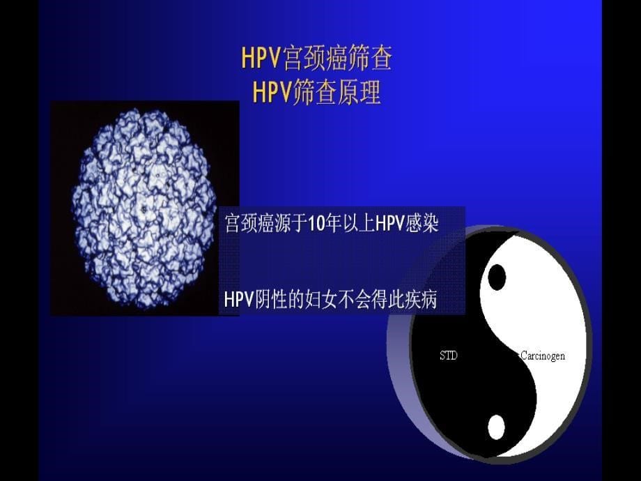 宫颈癌与hpv课件_第5页