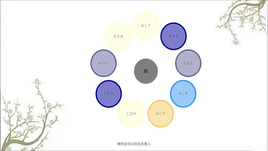 增检验项目的临床意义_第5页