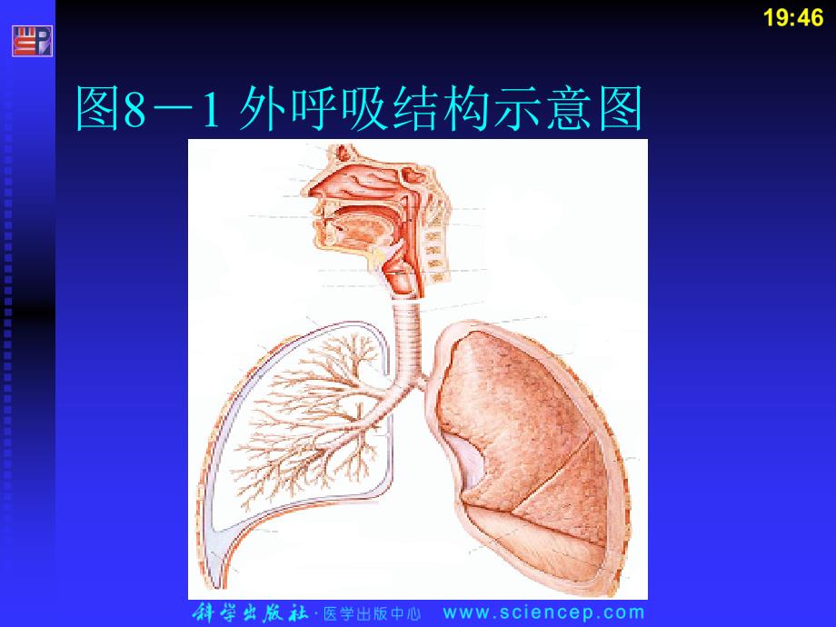 病理心理学教学PPT课件_第4页