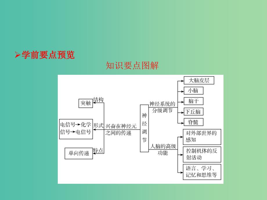 高中生物第二章动物和人体生命活动的调节第1节通过神经系统的调节第2课时课件新人教版.ppt_第2页