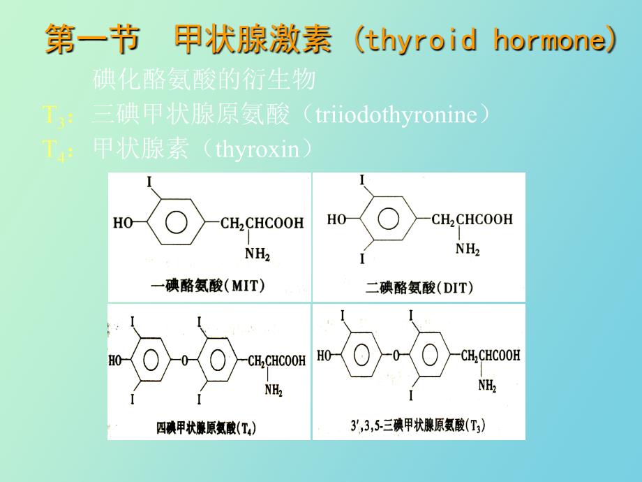 甲状腺及抗甲状腺药_第2页