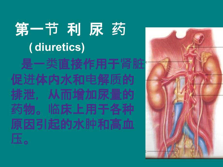 绝对经典利尿剂大全含作用机制及副作用ppt课件_第3页