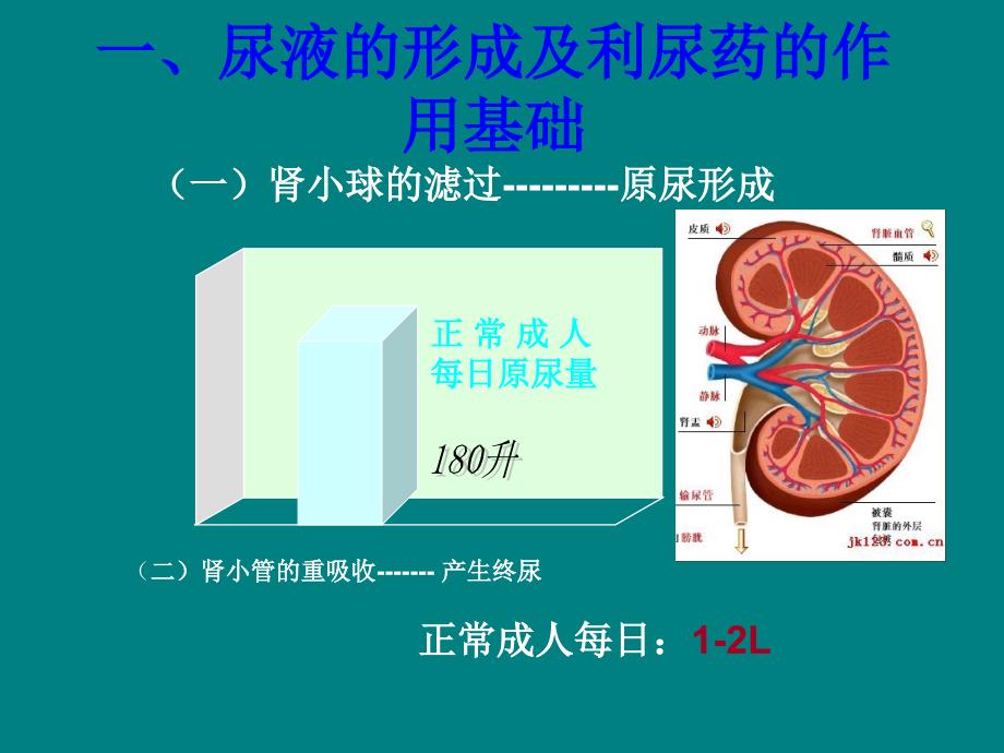 绝对经典利尿剂大全含作用机制及副作用ppt课件_第4页