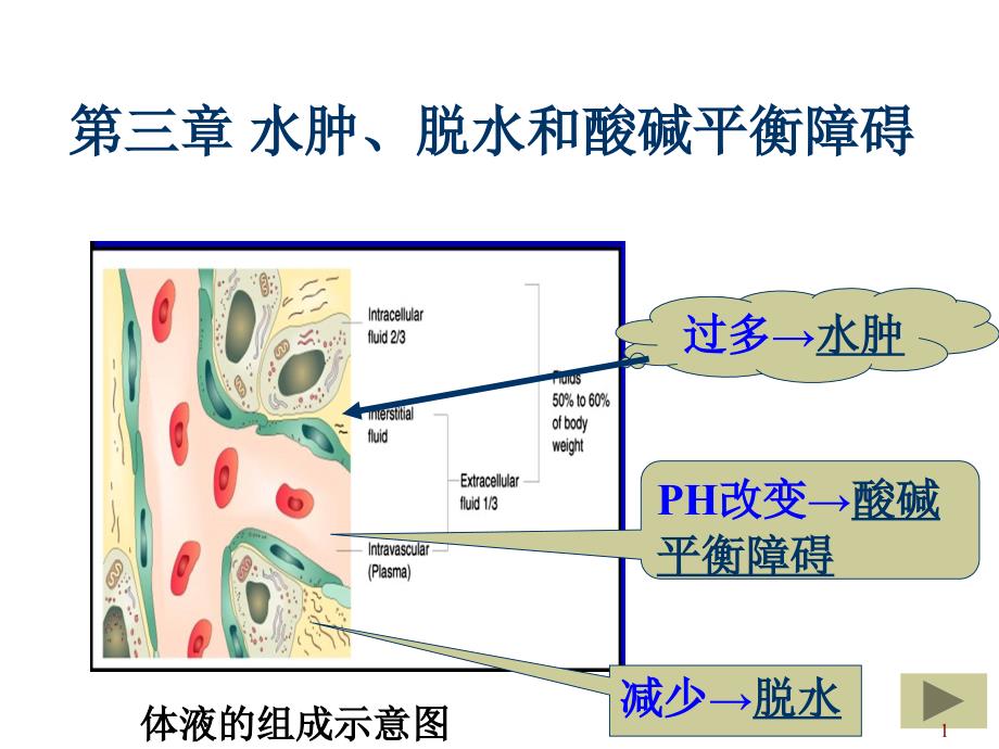 动物病理学水肿和脱水ppt课件_第1页