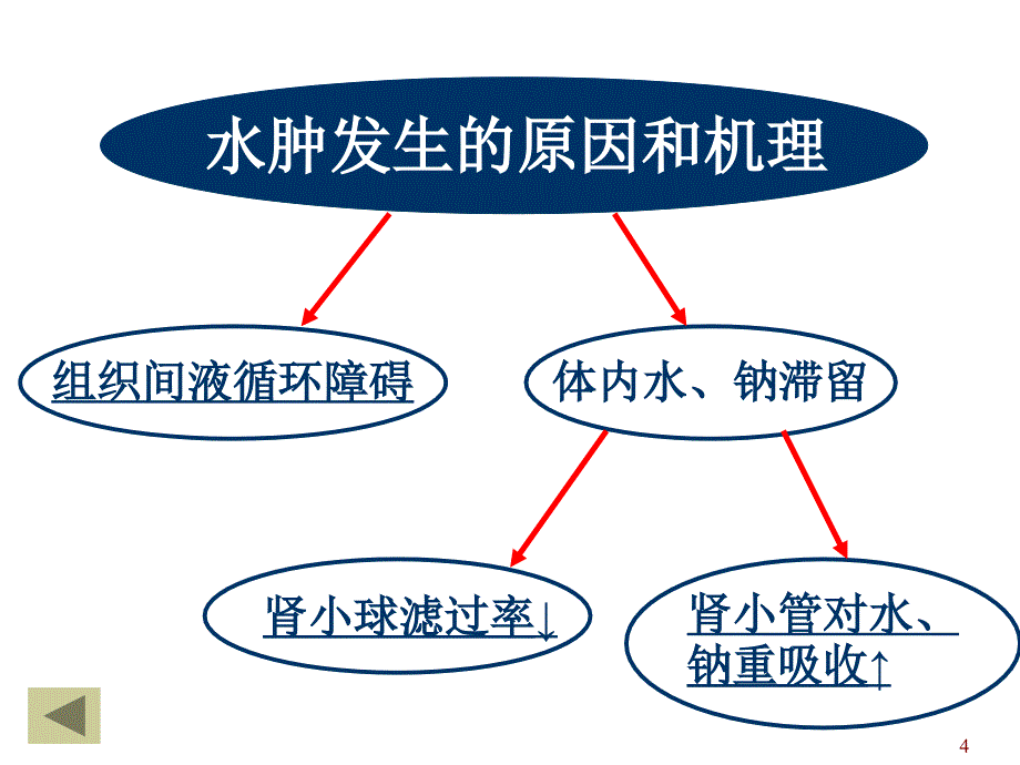 动物病理学水肿和脱水ppt课件_第4页