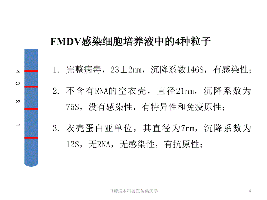 口蹄疫本科兽医传染病学课件_第4页