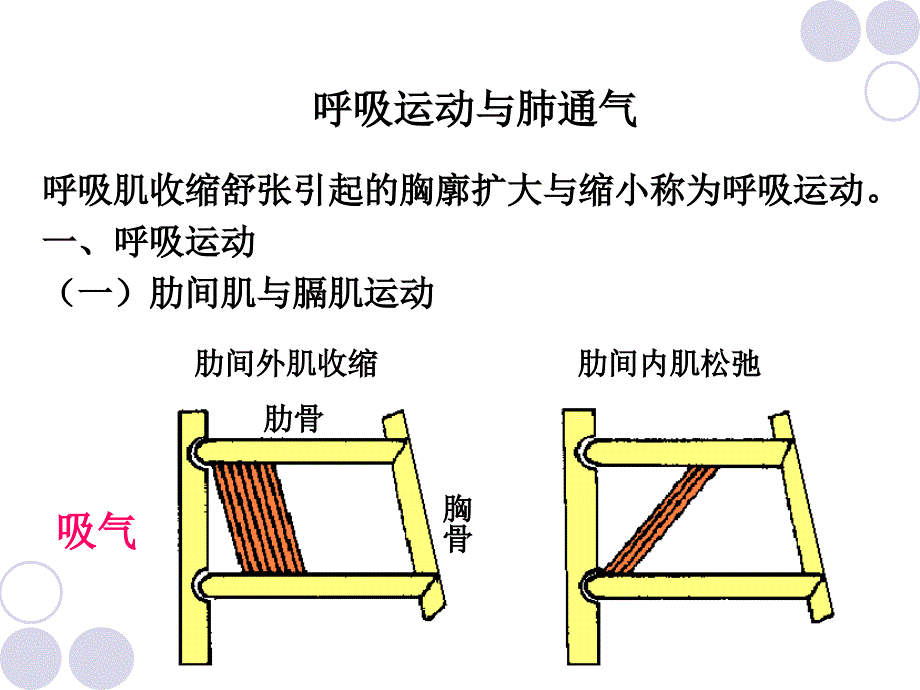 呼吸系统疾病的体育康复_第3页