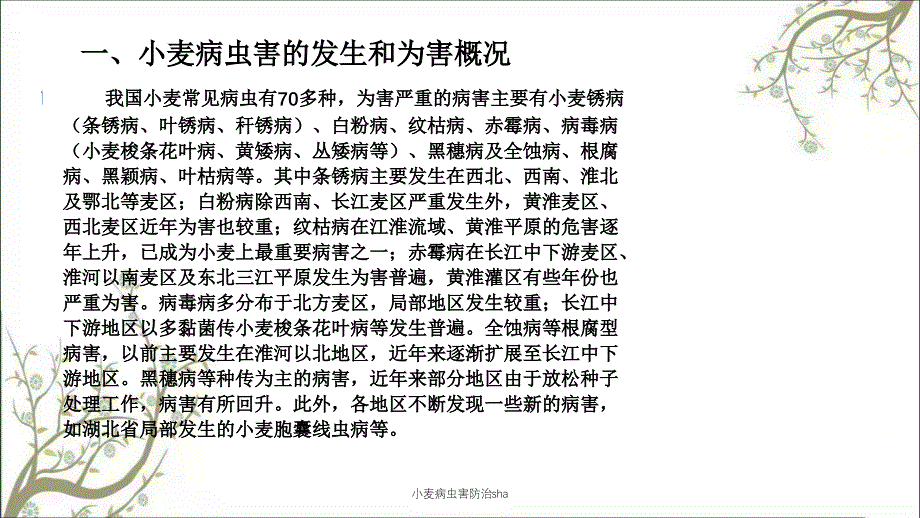 小麦病虫害防治sha_第1页