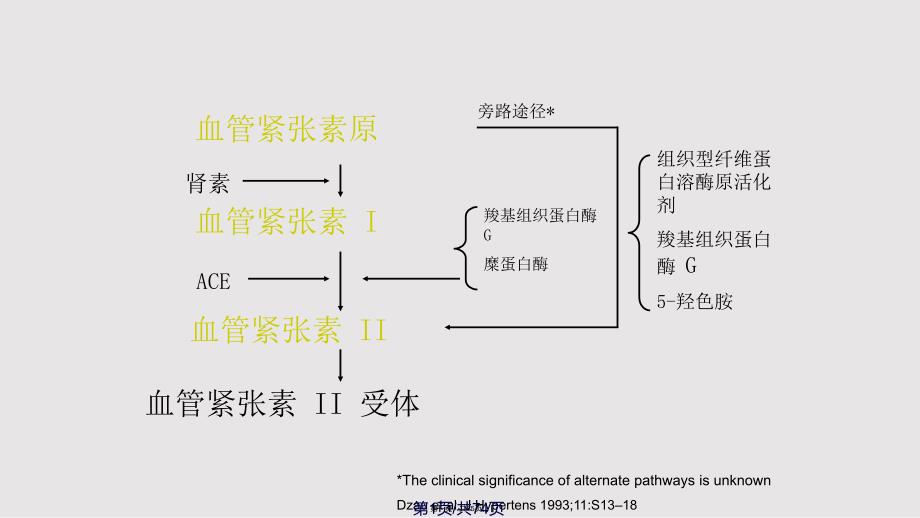 ACEIARB的临床应用体会实用教案_第1页