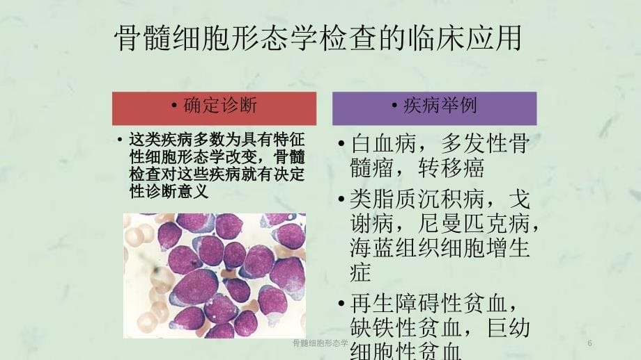 骨髓细胞形态学课件_第5页