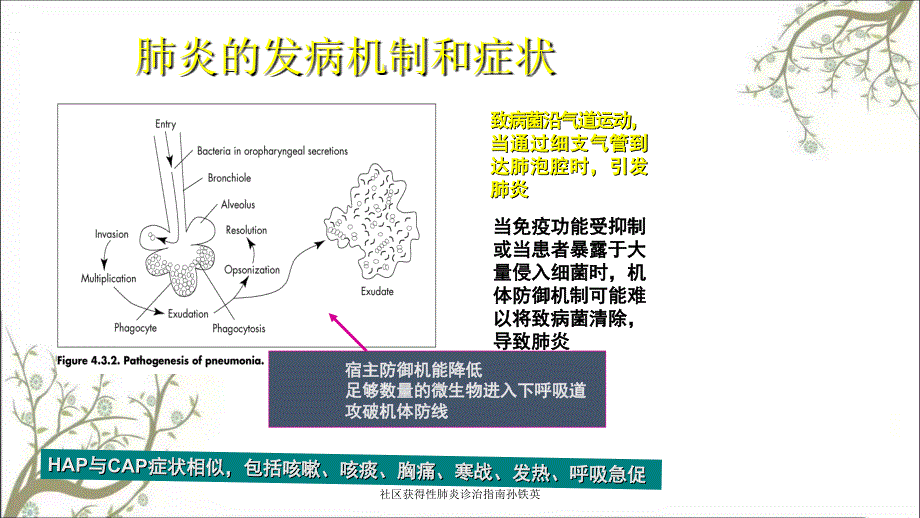 社区获得性肺炎诊治指南孙铁英_第3页