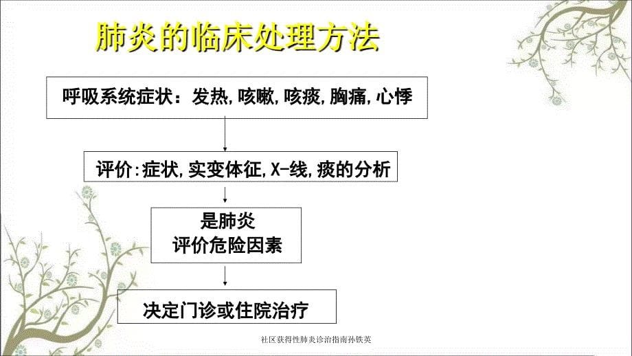 社区获得性肺炎诊治指南孙铁英_第5页